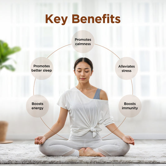 Ashwagandha KSM-66 with 5% withanolides 60 Capsules