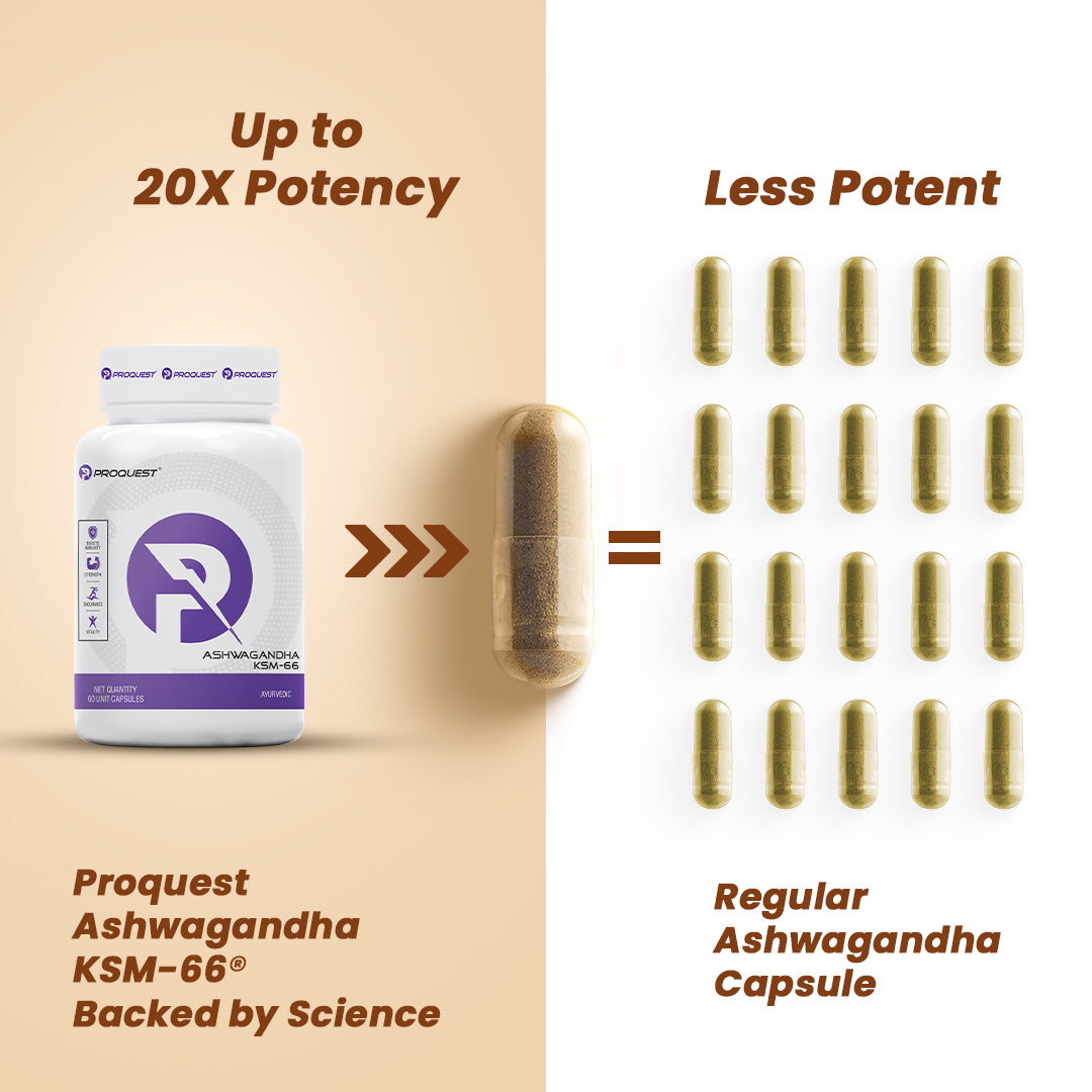 Ashwagandha KSM-66 with 5% withanolides 60 Capsules