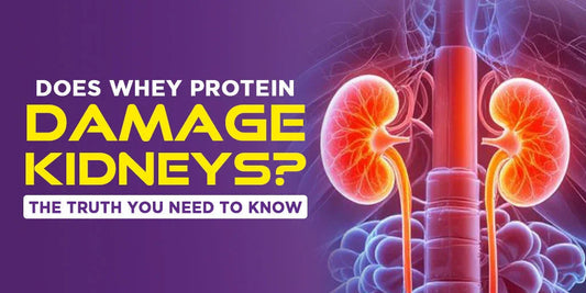 Illustration of kidneys with text questioning if whey protein damages kidneys on purple background