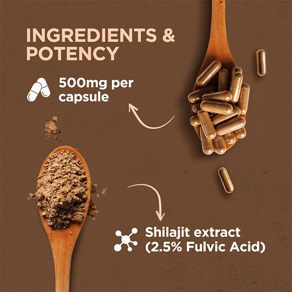 Proquest Shilajit 500mg – 60 Capsules for Energy & Stamina