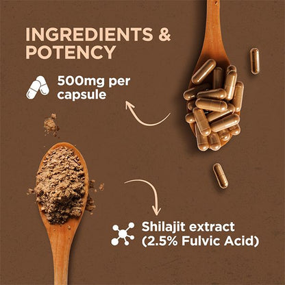 Proquest Shilajit 500mg – 60 Capsules for Energy & Stamina