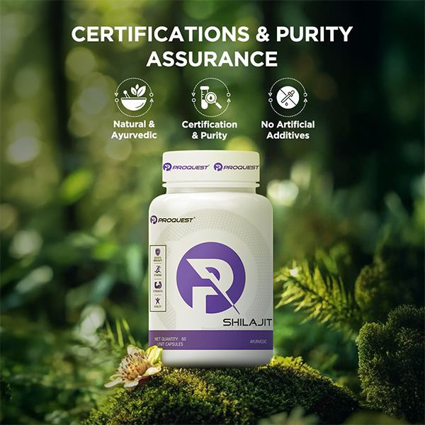 Proquest Shilajit 500mg – 60 Capsules for Energy & Stamina